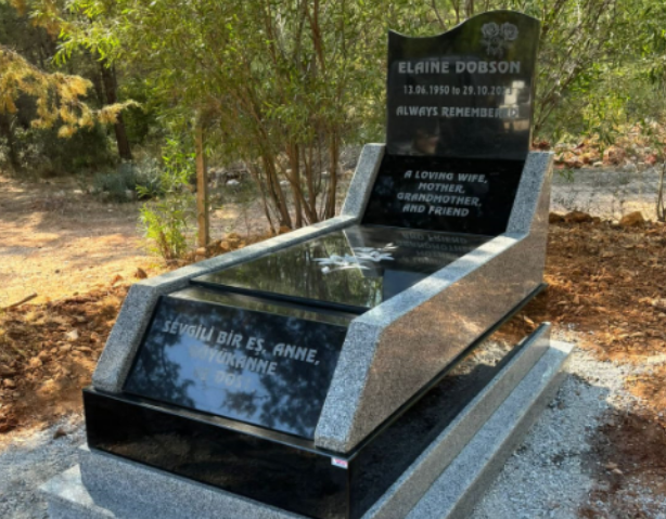 Model (6)